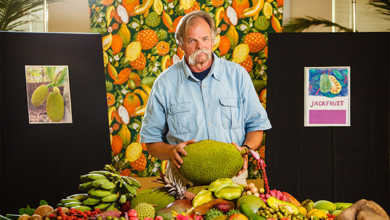 Illustration for article titled Fruit People, Dear Readers